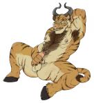 2015 anthro armpit_hair balls bodily_fluids body_hair bovid bovine brown_body brown_fur brown_hair butt cattle chest_hair countershade_arms countershade_balls countershade_butt countershade_crotch countershade_face countershade_genitalia countershade_hands countershade_torso countershading cum cum_on_self erection facial_piercing felid fur genital_fluids genitals green_eyes hair hand_behind_head hi_res hooves horn humanoid_genitalia humanoid_penis hybrid male male_anthro mammal masturbation musclegut muscular muscular_anthro muscular_male nastyspook nipple_piercing nipple_ring nipples nose_piercing nose_ring nude nude_anthro nude_male orange_body orange_fur overweight overweight_anthro overweight_male pantherine penis piercing pink_penis ring_piercing simple_background sitting solo spread_legs spreading striped_body striped_fur stripes tan_body tan_fur tarke tiger werelion2003 whisker_spots white_background