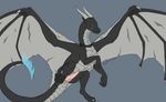  blue_fire collar cynphira dark_grey dragon exposed feral flying grin male penis presenting smile solo 