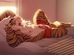  bed bulge clothing erection feline inviting karnal male male/male mammal morning_wood muscular open_mouth patto paws penis stretching tiger underwear yawn 