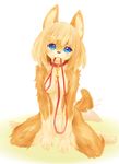  2018 anthro blonde_hair blue_eyes blush breasts brown_fur canine collar featureless_breasts featureless_crotch female fur hair hi_res japanese_text kneeling leash looking_at_viewer mammal navel object_in_mouth simple_background tailwag tan_fur tetetoroort text white_background 