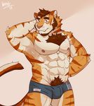  2017 abs anthro clothing crotch_tuft feline hittoga male mammal muscular nipples pecs pubes solo speedo swimsuit tiger 