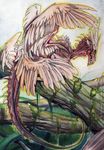  blood day detailed_background dragon feathered_wings feathers feral grypwolf outside solo traditional_media_(artwork) wings 