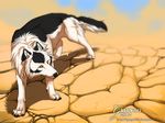  2012 canine day detailed_background digital_drawing_(artwork) digital_media_(artwork) dog feral grypwolf mammal outside paws sky solo standing yellow_eyes 