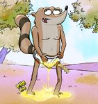  cartoon_network clothing male mammal open_mouth peeing procyonid raccoon regular_show rigby_(regular_show) solo text tongue underwear urine 