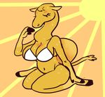 anthro bikini breasts camel camelid clothed clothing dromedary female fur mammal simple_background swimsuit yellow_background yellow_fur zombbh 