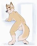  animated anthro anus backsack balls brown_fur butt canine dog fur kwik looking_at_viewer male mammal no_sound pawpads perineum red_eyes simple_background solo tailwag 