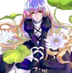  blonde_hair blue_hair brown_hair commentary_request dress flower gradient_hair hijiri_byakuren layered_dress lily-an lily_(flower) lily_pad looking_at_viewer multicolored_hair purple_hair solo touhou white_background yellow_eyes 