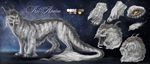  2018 digital_drawing_(artwork) digital_media_(artwork) dragon feral fur furred_dragon grey_fur horn isvoc model_sheet open_mouth solo teeth tongue white_fur 