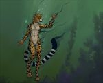  2018 cheetah feline male mammal nude sershia solo syynx underwater water 