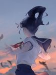  black_hair blue_neckwear blue_skirt blue_sky facing_away from_behind highres long_hair necktie original outdoors outstretched_arms pleated_skirt ponytail red_neckwear shirt short_sleeves skirt sky solo sousou_(sousouworks) spread_arms standing sunset upper_body white_shirt 