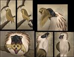  2018 ambiguous_gender avian beak belly bird brown_eyes cherry claws digital_media_(artwork) duo eagle feathers feral food fruit hi_res open_mouth oral_vore owl philippine_eagle pirate_eagle sequence size_difference skittishowl smile soft_vore talons tawny_owl tongue vore 