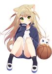  animal animal_ear_fluff animal_ears bangs basketball black_jacket black_legwear black_shorts blue_eyes blush cat cat_ears cat_tail closed_mouth commentary_request eyebrows_visible_through_hair full_body green_eyes hair_ornament hairclip hand_on_own_knee hand_to_own_mouth highres jacket knees_together_feet_apart long_hair long_sleeves looking_at_viewer mafuyu_(chibi21) md5_mismatch name_tag open_clothes open_jacket original shirt shoes shorts simple_background sitting sleeves_past_wrists socks solo tail track_jacket unzipped very_long_hair white_background white_cat white_shirt 