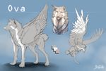  2014 ambiguous_gender blue_background canine claws digital_drawing_(artwork) digital_media_(artwork) dog feathered_wings feathers feral fur grey_feathers grey_fur grey_nose grypwolf hybrid mammal model_sheet paws scar simple_background solo standing wings 