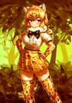  absurdres animal_ears blonde_hair blush bow bowtie breast_pocket closed_mouth commentary_request darandy day eyebrows_visible_through_hair feet_out_of_frame forest fur_collar gloves hands_on_hips high-waist_skirt highres jaguar_(kemono_friends) jaguar_ears jaguar_print jaguar_tail kemono_friends looking_at_viewer miniskirt nature outdoors pocket print_gloves print_legwear print_skirt shirt short_hair short_sleeves skindentation skirt smile solo tail thighhighs tree white_shirt yellow_eyes zettai_ryouiki 