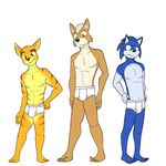  barefoot briefs clothing fox_mccloud fuze male nintendo ratchet ratchet_and_clank simple_background sonic_(series) sonic_the_hedgehog star_fox tighty_whities underwear video_games white_underwear 