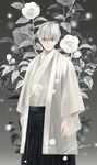  arms_at_sides flower glasses grey_background grey_eyes highres looking_at_viewer male_focus sangatsu_no_lion signature solo souya_touji standing white_hair yum_(unlucky) 