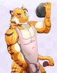  anthro apron audiophilliac barazoku clothing feline leaking male mammal muscular sweat tiger 