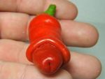  food inanimate pepper tagme vegetable 