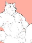  balls barazoku blue_eyes canine crotch_tuft erection fur humanoid_penis looking_at_viewer maguro male mammal muscular nipples nude pecs penis simple_background solo vein white_fur 