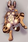  anthro bedroom_eyes big_ears breasts claws drooling fangs feline female fur half-closed_eyes ifus looking_at_viewer lying mammal nipples nude on_back open_mouth pussy raised_leg saliva seductive serval solo spots spotted_fur spread_legs spreading toe_claws tongue tongue_out 