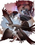  2015 ambiguous_gender avian beak blue_eyes digital_drawing_(artwork) digital_media_(artwork) feathered_wings feathers feral grypwolf solo wings 