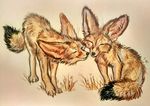  big_ears black_nose canine cheek_tuft claws dipstick_tail duo eyes_closed fennec feral flashw fox grass inner_ear_fluff mammal multicolored_tail sitting standing toe_claws tuft whiskers 