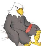  animal_crossing anthro apollo_(animal_crossing) avian barefoot beak bird black_eyes claws eagle erection feathers glacierclear hi_res looking_away male manly nintendo nude pecs penis sharp_claws sitting smile solo tapering_penis thick_thighs toe_claws video_games wings 