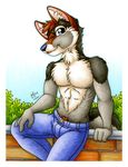  2018 anthro black_fur blue_eyes brown_fur brown_hair canine clothed clothing dog fur grey_fur hair male mammal michele_light outside plant sky solo topless white_fur 