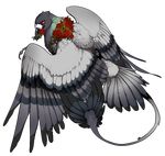  2015 alpha_channel amber_eyes avian bird black_nose digital_drawing_(artwork) digital_media_(artwork) feathered_wings feathers grey_feathers grypwolf simple_background transparent_background wings 
