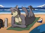  beach clothing dentist_(artist) kouya_(morenatsu) morenatsu nude relaxing seaside speedo swimsuit 