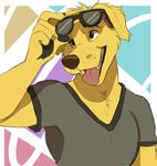  5_fingers anthro bojack_horseman brown_eyes bust_portrait canine clothed clothing dog eyewear eyewear_on_head front_view fur happy ifus looking_aside male mammal mr._peanutbutter open_mouth open_smile portrait shirt smile solo sunglasses sunglasses_on_head t-shirt teeth tongue tongue_out yellow_fur 