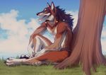  2018 anthro black_nose blue_eyes brown_fur brown_hair canine day detailed_background digital_drawing_(artwork) digital_media_(artwork) fur hair kero_tzuki male mammal open_mouth outside sitting sky solo tongue tree wolf 