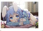  absurdres animal_ears backlighting blue_eyes blue_hair blue_shirt blush bunny_ears day eyebrows_visible_through_hair fake_animal_ears gochuumon_wa_usagi_desu_ka? hair_between_eyes hair_bobbles hair_ornament hairband highres huge_filesize indoors kafuu_chino kneehighs long_hair long_sleeves looking_at_viewer lying ogipote on_bed on_side shirt solo tippy_(gochiusa) two_side_up white_hairband window 