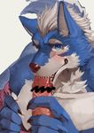  18plusplus 2017 biting_penis blue_eyes blue_fur blush canine censored duo erection fellatio fur humanoid_penis looking_at_viewer male mammal oral penis sex simple_background teeth white_fur wolf 