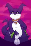  2016 4_fingers anthro balls black_nose digimon digital_media_(artwork) erection eyebrow_piercing facial_piercing hi_res holding_penis imp impmon looking_at_viewer male mammal neckerchief nude penis piercing puck_(shadowpelt) purple_background red_background red_eyes shadowpelt simple_background smile solo standing 