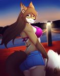  anthro bra canine clothed clothing female fox fur hair looking_at_viewer lunarii makeup mammal mascara outside smile solo standing underwear 