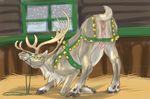  2017 animal_genitalia animal_pussy antlers anus ass_up bell cervine cervine_pussy female feral harness hooves horn looking_at_viewer looking_back mammal presenting presenting_pussy presenting_teats pussy pyramidheadapproves reindeer solo stable teats 