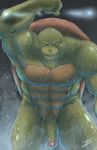  2017 absurd_res anthro bakameganekko balls biceps flaccid hi_res humanoid_penis looking_at_viewer male muscular nude penis raphael_(tmnt) reptile scalie shower smile solo teenage_mutant_ninja_turtles thick_penis turtle uncut water wet 