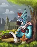  5_fingers accordion anklet anthro avian beak black_feathers blue_feathers breath_of_the_wild claws clothed clothing cloud day digital_media_(artwork) eyes_closed feather_hands feathers grass happy jewelry kass_(zelda) korok male markings musical_instrument nintendo outside red_feathers rito sitting sky smile solo talons the_legend_of_zelda video_games white_feathers yellow_feathers 
