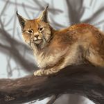 2016 brown_fur day digital_media_(artwork) digital_painting_(artwork) feline fur goldendruid lynx mammal outside paws sky whiskers 
