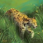  2016 day detailed_background digital_media_(artwork) digital_painting_(artwork) feline feral fur goldendruid grass leopard mammal outside paws solo spots spotted_fur stanidng 