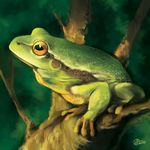  ambiguous_gender amphibian day digital_media_(artwork) digital_painting_(artwork) frog goldendruid green_skin outside yellow_eyes 