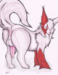  anus balls butt feral fluffy fluffy_tail kazukio looking_at_viewer male mammal nintendo penis pok&eacute;mon pok&eacute;mon_(species) puffy_anus solo tapering_penis video_games zangoose zesty_(character) 