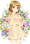  birthday blush brown_hair dress koizumi_hanayo love_live!_school_idol_project short_hair shy violet_eyes 