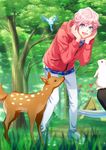  :d a3! bird blue_eyes blush bunny deer floral_print forest full_body grass hammock hands_on_own_cheeks hands_on_own_face highres hood hoodie leaning_forward light_rays male_focus nature official_art open_mouth pants pink_hair sakisaka_muku shoes smile sneakers standing string_of_flags sunbeam sunlight tent 