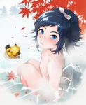  animal black_hair blue_hair blush convenient_leg knees leaf looking_at_viewer looking_up male_focus mole mole_under_eye nipples nude onsen outdoors parted_lips partially_submerged ponytail shiroinu show_by_rock!! solo steam touken_ranbu wading water yaiba_(show_by_rock!!) yamato-no-kami_yasusada 