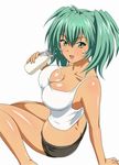  ikkitousen ryofu_housen tagme 