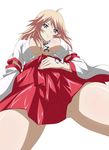  ikkitousen shibai_chuutatsu tagme 