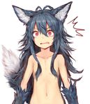  1girl animal_ear_fluff animal_ears antenna_hair bangs blue_hair collarbone commentary_request eyebrows_visible_through_hair fang fenrir_(shingeki_no_bahamut) flat_chest granblue_fantasy hair_between_eyes hair_censor hair_over_breasts highres long_hair looking_at_viewer navel nude open_mouth red_eyes simple_background solo sukemyon surprised tail upper_body white_background wide-eyed wolf_ears wolf_girl wolf_tail 
