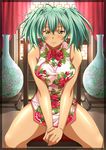  ikkitousen ryofu_housen tagme 